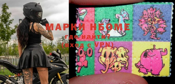индика Балабаново