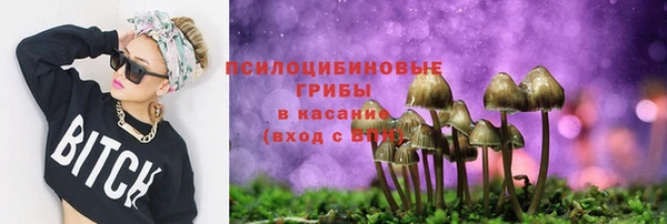 индика Балабаново