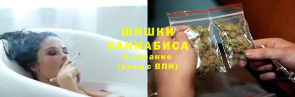 индика Балабаново