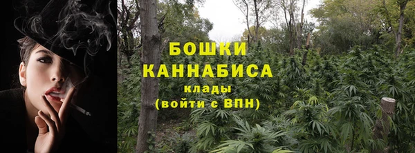 индика Балабаново