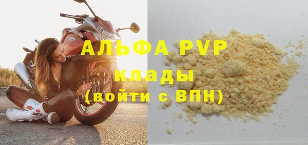 индика Балабаново