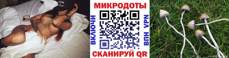 кракен ссылки Барабинск Галлюциногенные грибы Cubensis