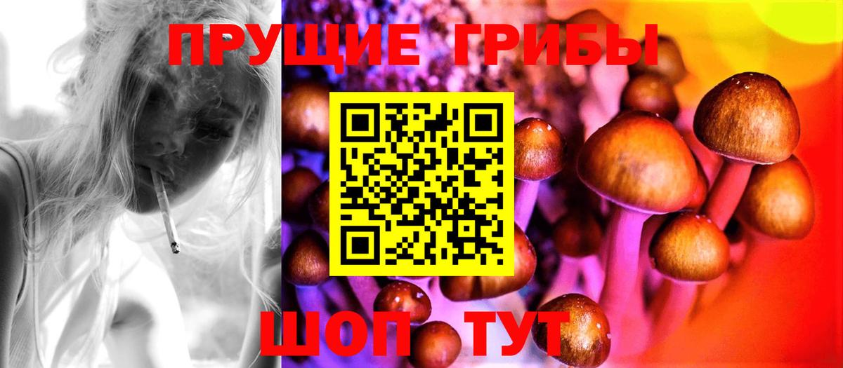 Галлюциногенные грибы прущие грибы Барабинск