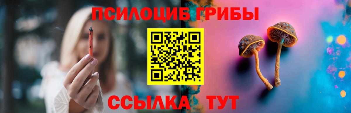 Галлюциногенные грибы Cubensis  Вход с VPN  Барабинск 